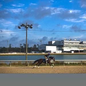 Meet your Posher, Carlos